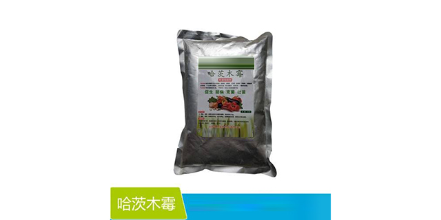 廣西正規(guī)哈茨木霉制造廠家 誠信為本 山東得和明興貿(mào)易供應(yīng)