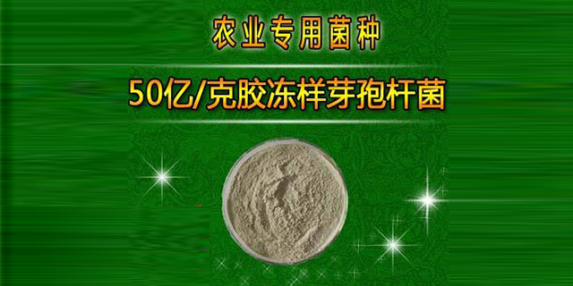遼寧通用膠凍樣芽孢桿菌 來電咨詢 山東得和明興貿(mào)易供應(yīng)