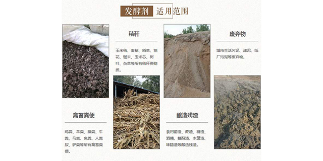 遼寧正規(guī)有機(jī)肥添加菌種 推薦咨詢 山東得和明興貿(mào)易供應(yīng)