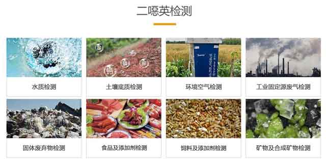 河南二噁英检测检测公司 欢迎咨询 上海微谱化工供应