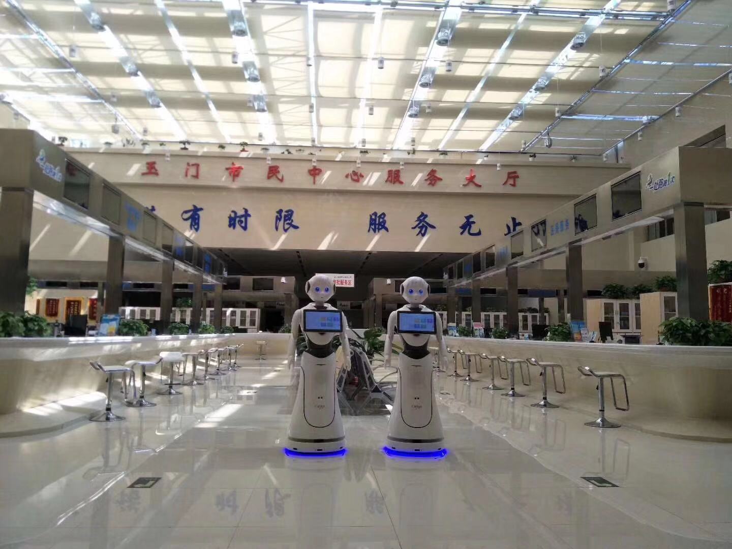 浙江行政服务机器人服务放心可靠 来电咨询 昆山新正源机器人智能科技供应