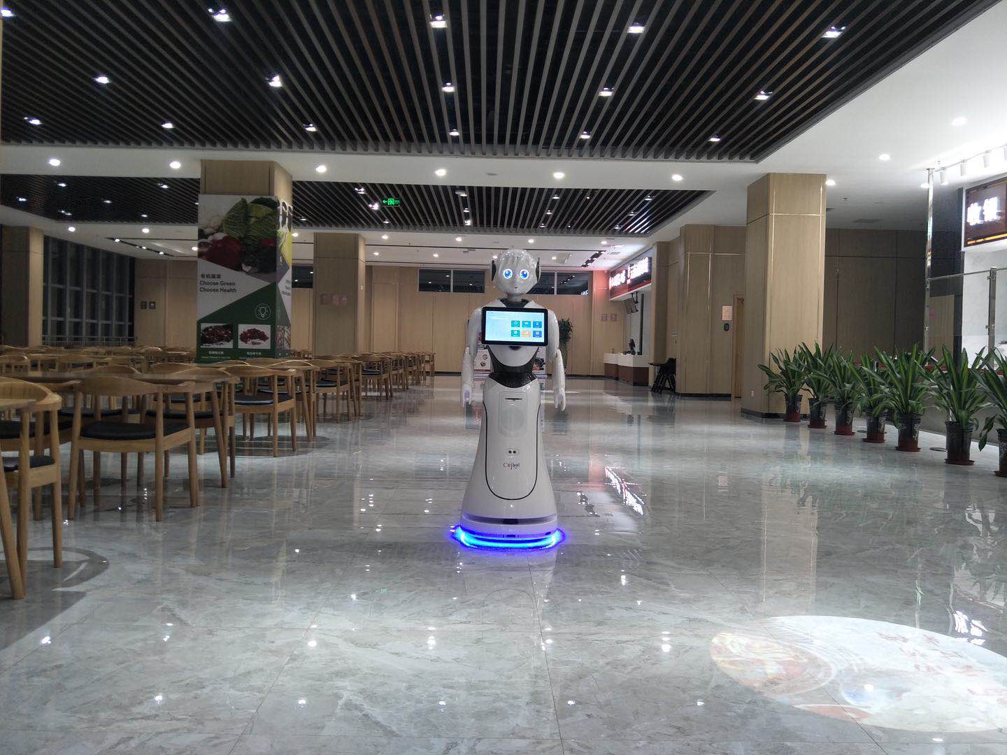 广西景区讲解机器人上门安装 抱诚守真 昆山新正源机器人智能科技供应