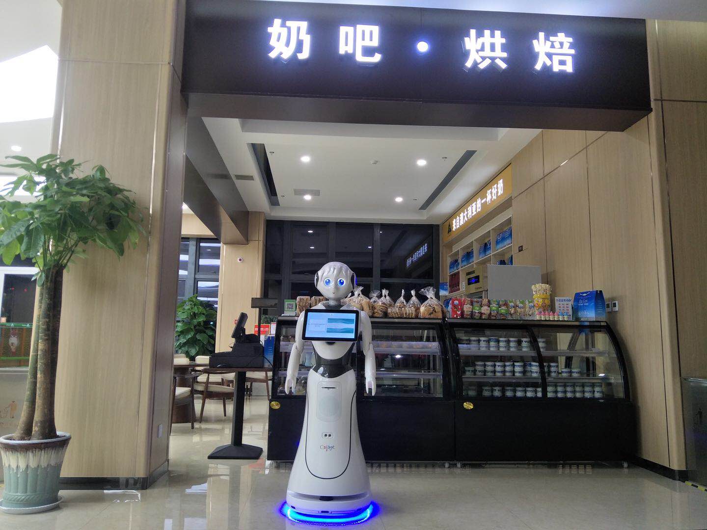 苏州景区讲解机器人哪家专业 铸造辉煌 昆山新正源机器人智能科技供应