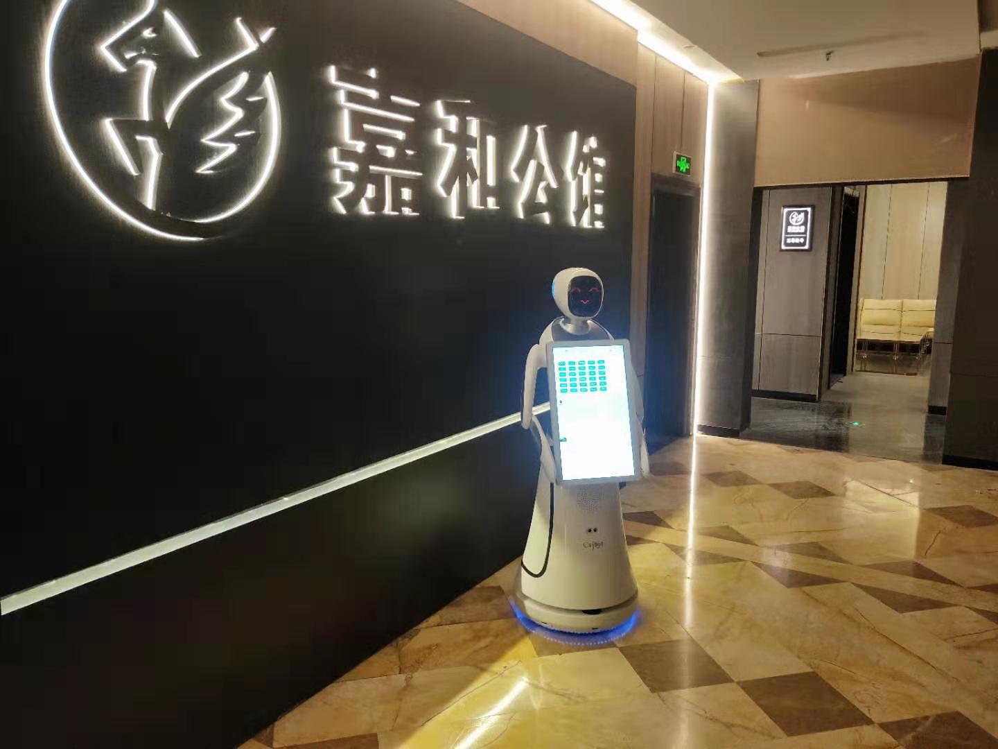 济南智能机器人服务放心可靠 **** 昆山新正源机器人智能科技供应