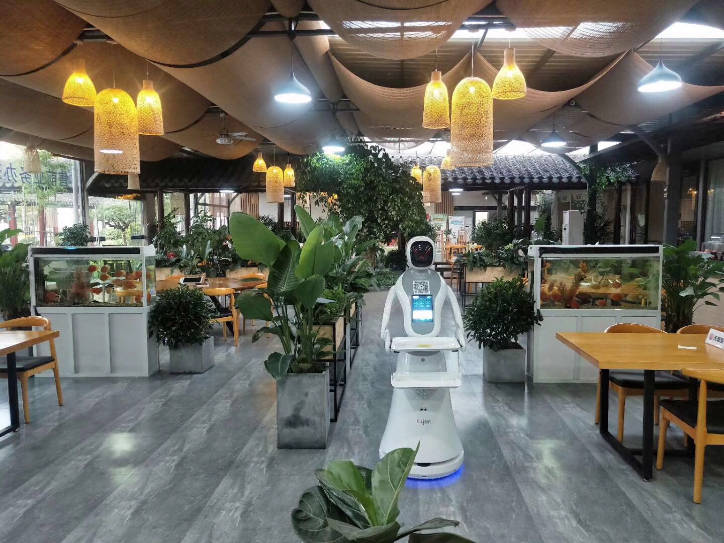 厦门送餐机器人服务为先 有口皆碑 昆山新正源机器人智能科技供应
