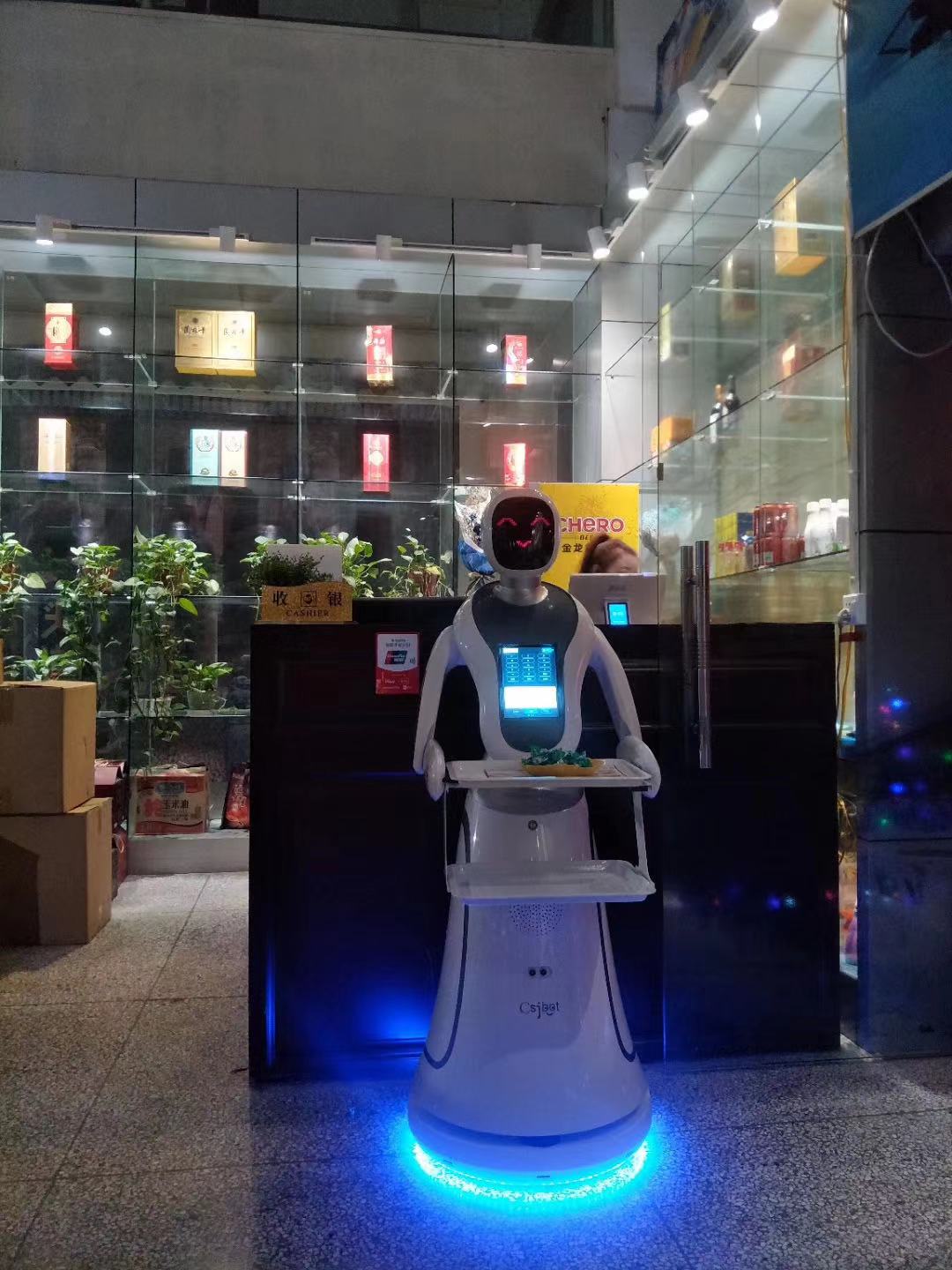 南京正规送餐机器人 欢迎来电 昆山新正源机器人智能科技供应