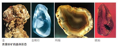广西奥林巴斯海洋勘探分析仪测海洋重晶石 上海赢洲科技供应