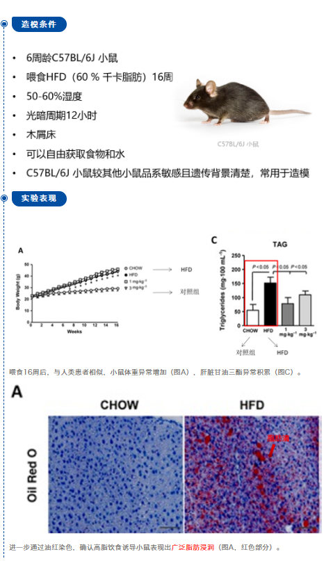 案例1 c57bl/6j 小鼠 hfd[1]