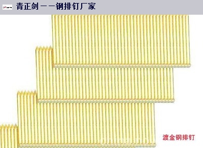 甘肃**钢排钉厂家供应 隆尧县北楼乡青正剑制钉供应