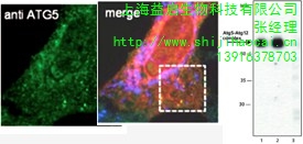 上海益启生物科技有限公司