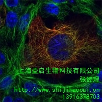 上海益启生物科技有限公司