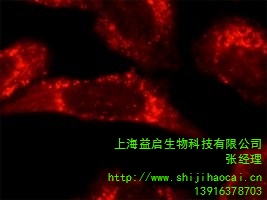 上海益启生物科技有限公司