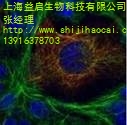 上海益启生物科技有限公司