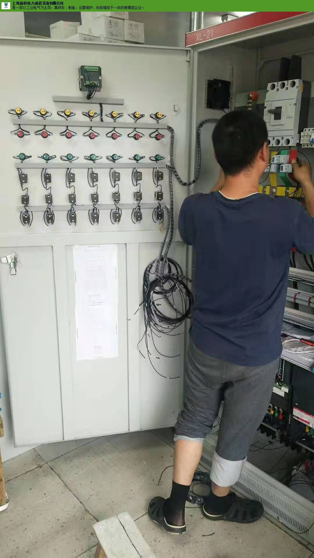金山区**控制柜 创新服务「上海铈科电力成套设备供应」