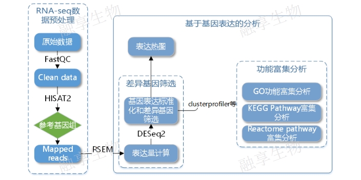 河南lncrna转录组测序服务