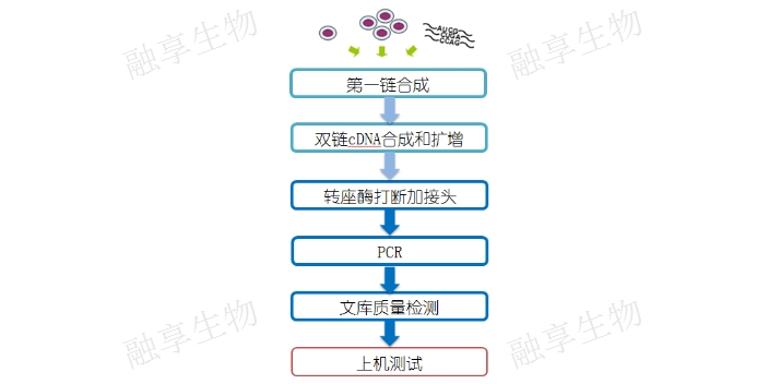 天津外泌体转录组测序公司