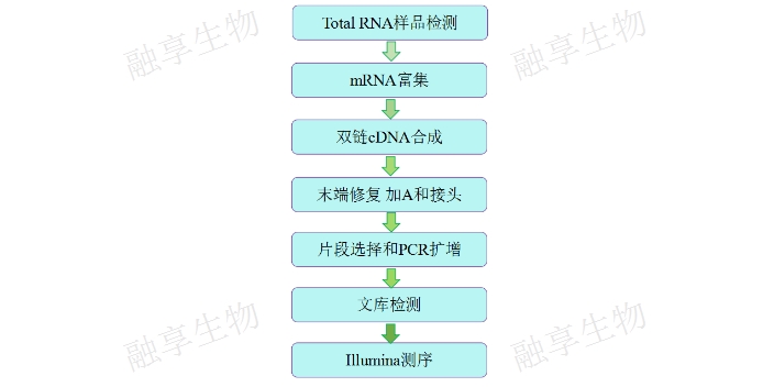 北京全长转录组测序公司哪里有