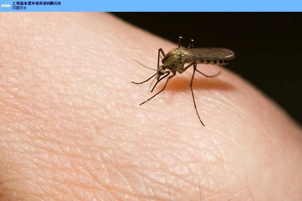 上海灭蚊子公司 推荐咨询「上海蜀来堡环保科技供应」