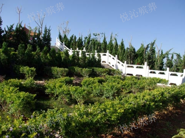 口碑好的祥和园公墓价格「昆明悦沁公墓墓地陵园供应 荆门新闻网