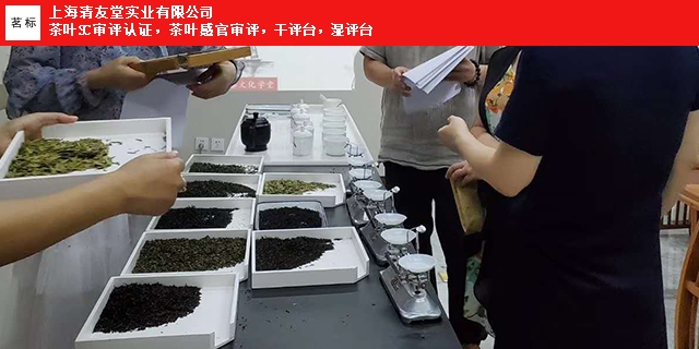 广州红茶干平台哪家专业,干平台