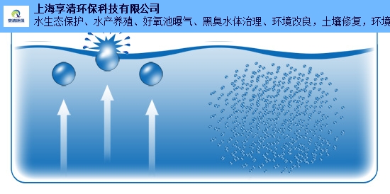 享沂牌微纳米气泡发生器是一种效率高的微纳米曝气设备,可根据用户的