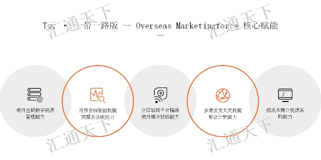 塔城中高端网站建设 推广公司,网站建设
