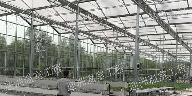 浙江蔬菜温室大棚建造,大棚