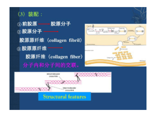 金华正规细胞外基质胶厂家供应