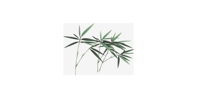 崇明区综合图文制作生产商定做价格,图文制作生产商